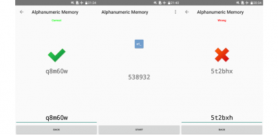 Alphanumeric Memory