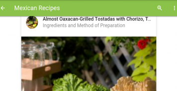 Mexican Recipes screenshot 7