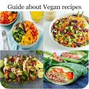 Guide about Vegan recipes