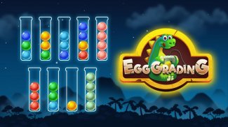 Egg Grading Puzzle screenshot 8