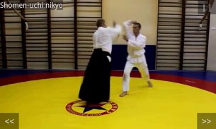 Aikido Test 5 kyu screenshot 1