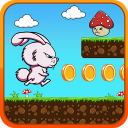 Bunny’s World - Jungle Bunny run