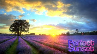 Perfect Sunset Live Wallpaper screenshot 7