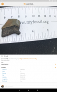 myFOSSIL screenshot 6