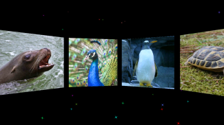 Животное Звуки для детей screenshot 1