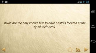 Amazing Animal Facts screenshot 3