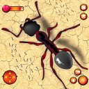 Ant Simulator Queen Bugs Game Icon