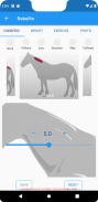 Equine Weight Management screenshot 3