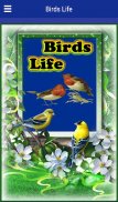 Birds Life screenshot 7