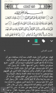 Leer Escuchar Quran قرآن كريم screenshot 3