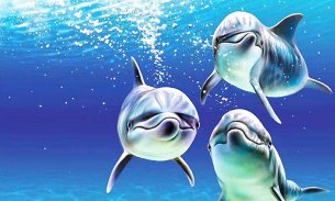Дельфины живые обои screenshot 4