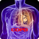 COPD Disease