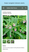 Edible Wild Plants screenshot 6