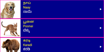 Learn Tamil From Kannada screenshot 4