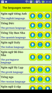 Leer Vietnamese taal screenshot 9