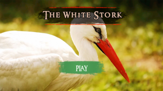 The White Stork screenshot 9