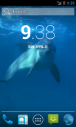 Video Wallpapers: Amazing Dolphins HD screenshot 2