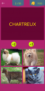 Cat & Dog Breeds Quiz screenshot 0