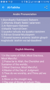 25 Surah with Meaning and Tafseer screenshot 3