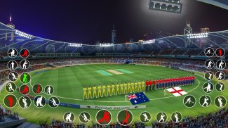 جام جهانی مسابقات کریکت 2019 : بازی را بازی کنید screenshot 2