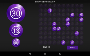 Bingo Caller Machine screenshot 0