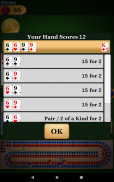 Cribbage Pro screenshot 7