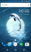 Dolphin Keyboard Wallpaper HD screenshot 5