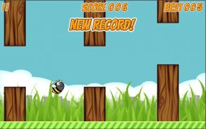 Buzzy Bugs screenshot 5