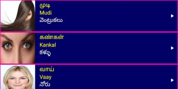 Learn Tamil From Telugu screenshot 6
