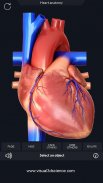 Heart Anatomy Pro. screenshot 9