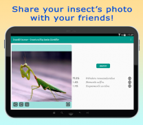 InsectID - Identify Insects screenshot 7