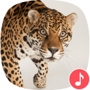 Appp.io - Jaguar sounds Icon
