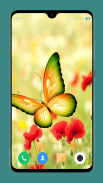 HD Butterfly Wallpaper screenshot 15