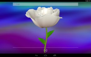 3D Rose Live Wallpaper screenshot 14