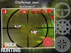 Duck Hunting screenshot 1