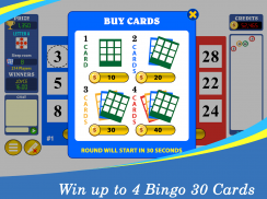 Bingo Thirty™ - Free Bingo 30 Game screenshot 2