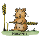 Hamstroid