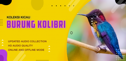 Suara Kicau: Burung Kolibri