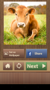 Trò chơi câu đố vui động vật screenshot 5