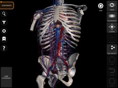 Anatomia - Atlas 3D screenshot 11