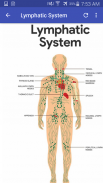 Anatomy and Physiology Systems screenshot 3