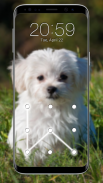 Puppy Dog Pattern Lock Screen screenshot 4