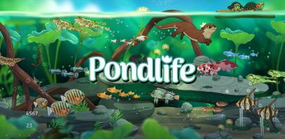 Pondlife — Relaxing Fish Game