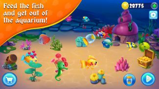 Aqua Fish screenshot 2