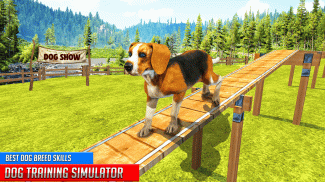 Dog Training: Dog Games screenshot 8