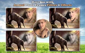 🐅 Animal Picture Frames 🐈 Nature Photo Editor screenshot 6