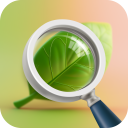 Plant Care - AI Identifier