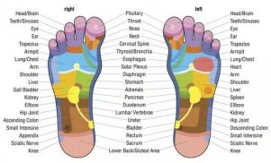 Body Reflexology Point screenshot 4