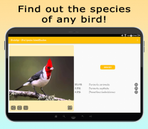 BirdsID - Identify Birds screenshot 7