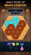 Woody Poly Block Hexa Triangle screenshot 4